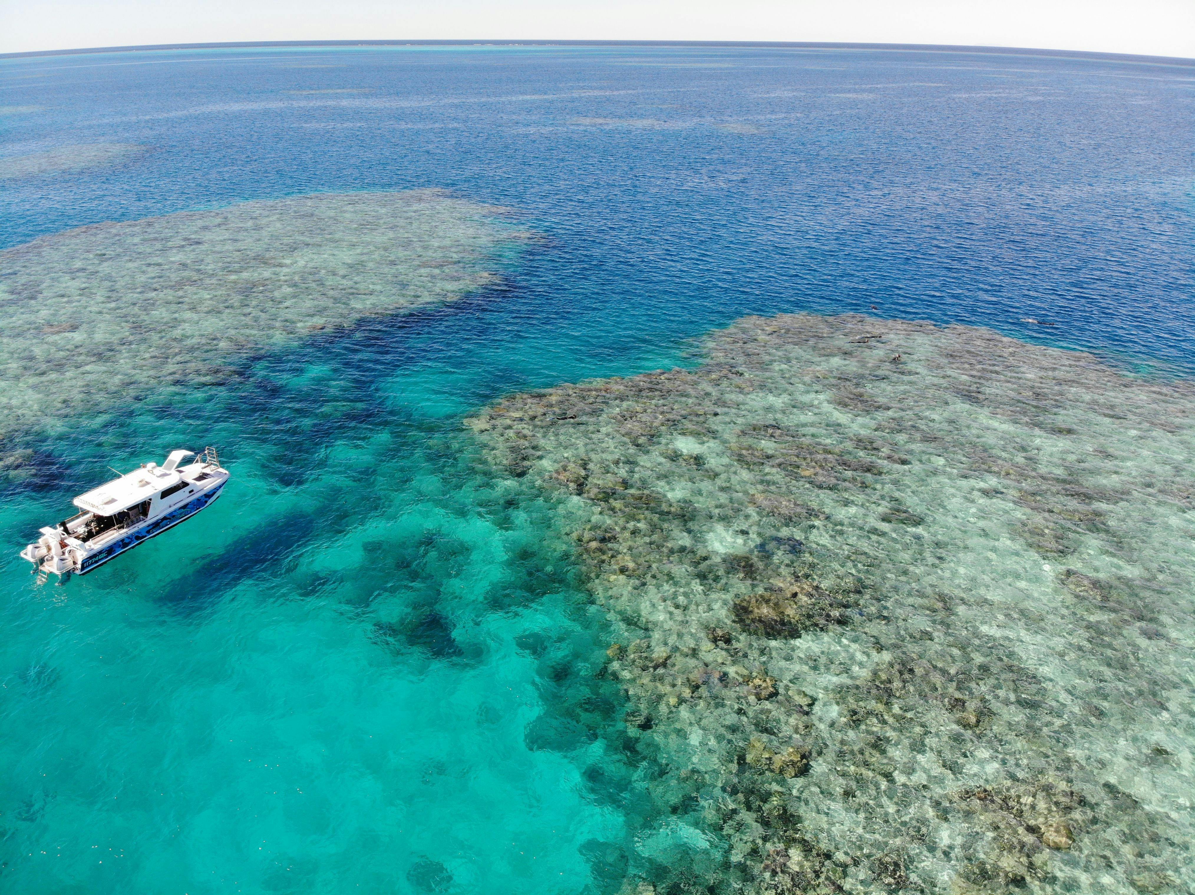 Only operator @ Stanley Reef
