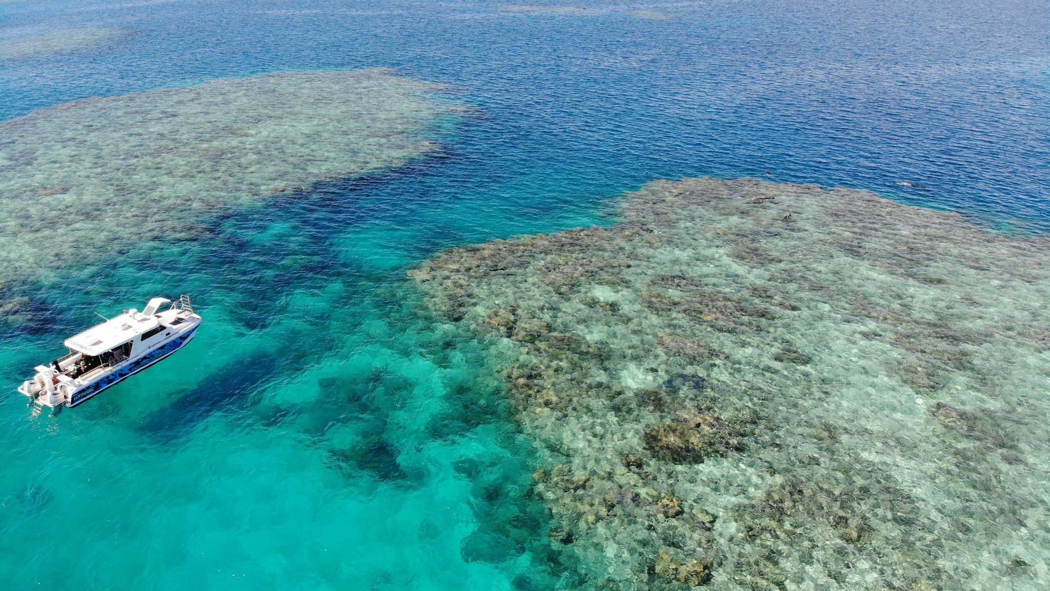 Only operator @ Stanley Reef Only operator @ Stanley Reef