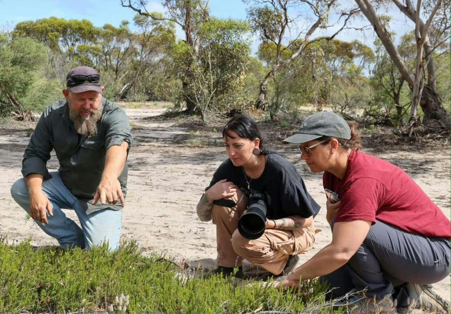 Native bushtucker