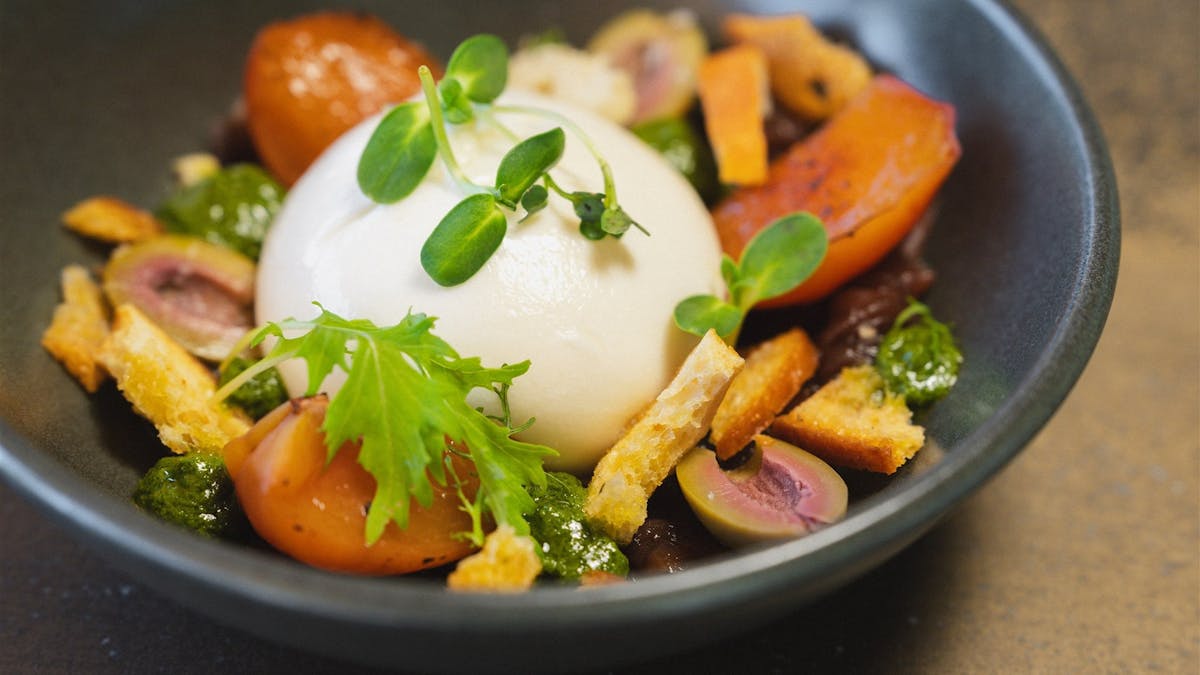 burrata at cardon pelican waters golf club