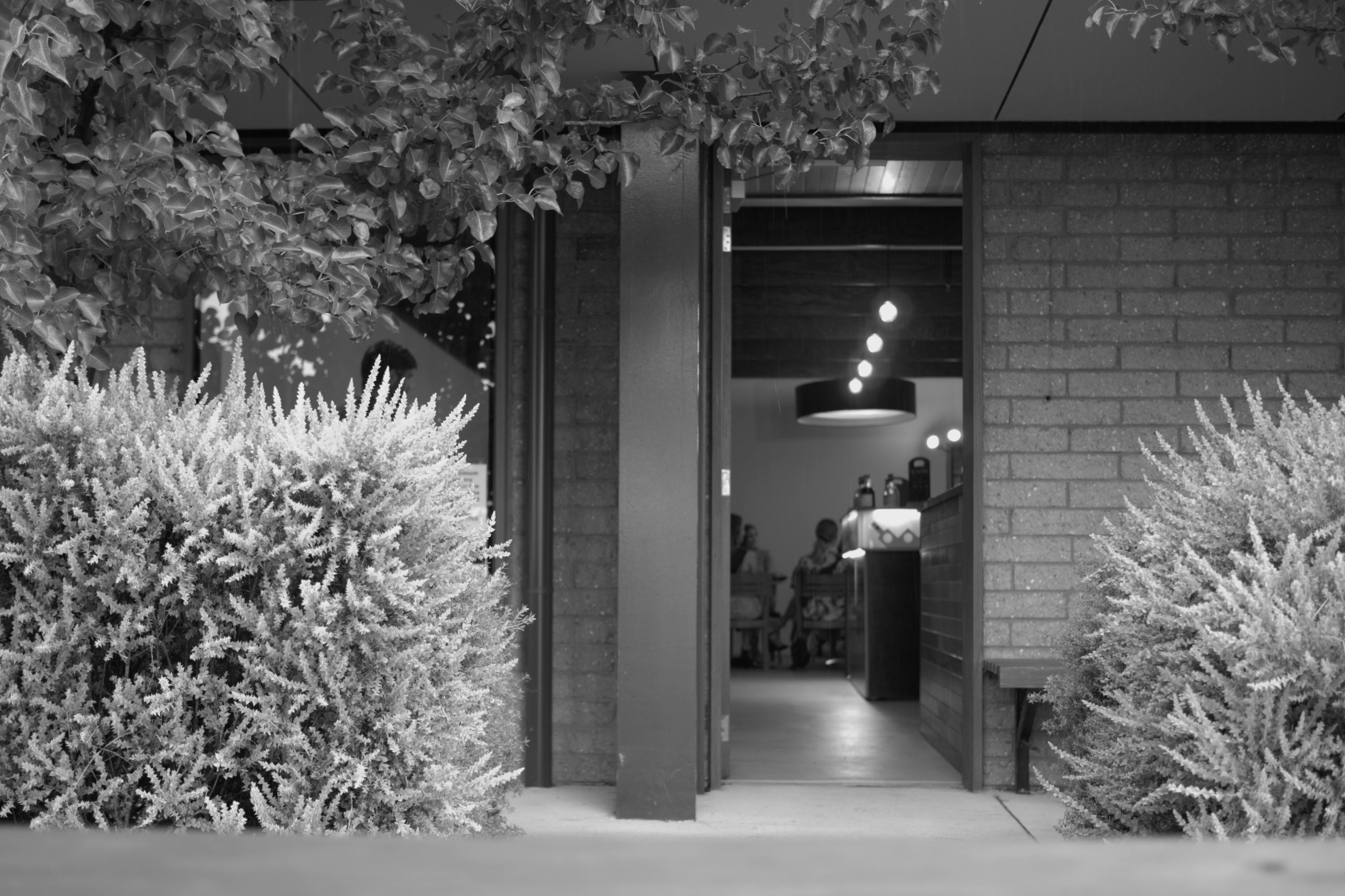 A relaxing venue tucked in amongst the gardens surrounding Dairy Road maker and creator spaces