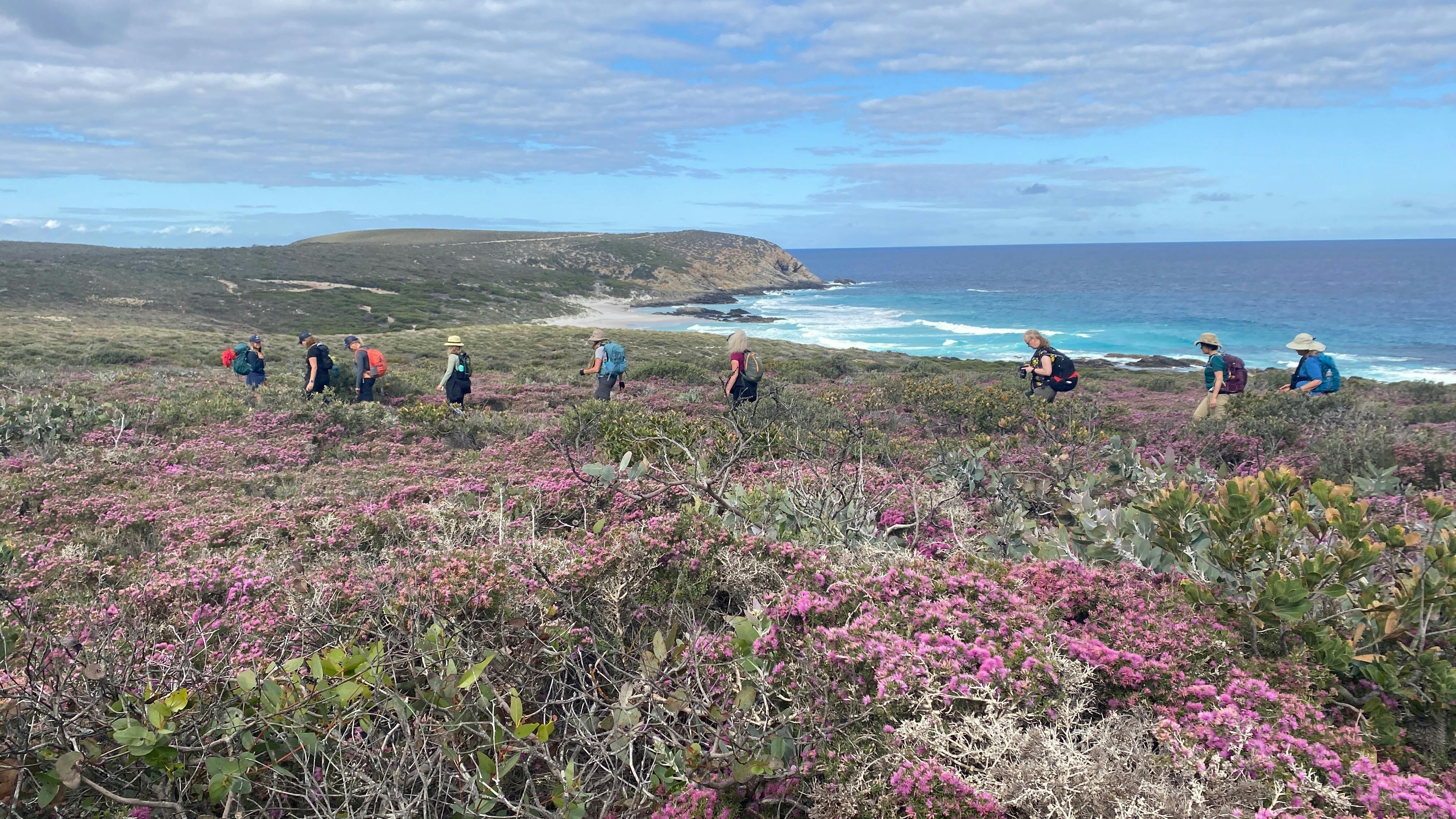 Women walking in line - in front pink wildflowers int eh background the southern ocean