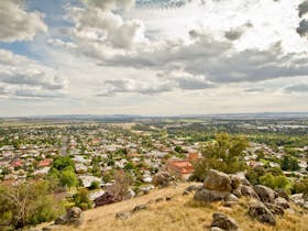 Bellevue Hill Reserve (Billy Goat Hill)
