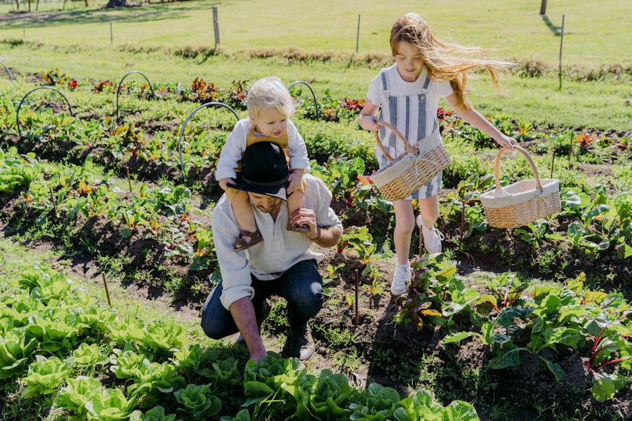 Collect your own Produce