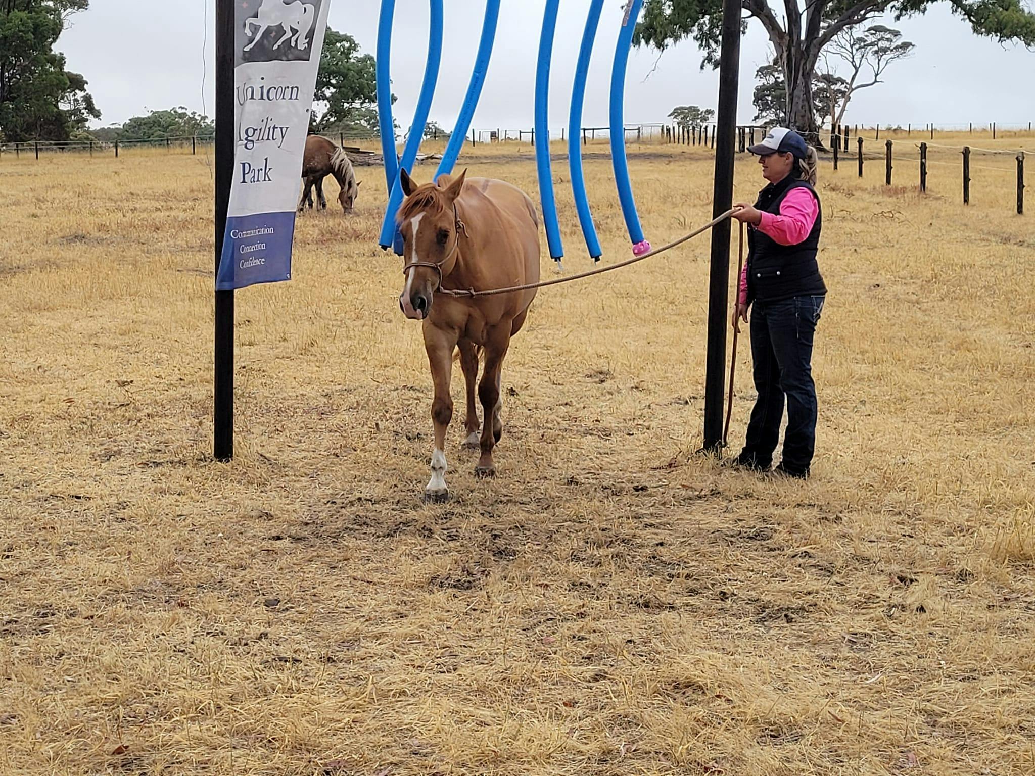 lady leading horse through a giant wind chime