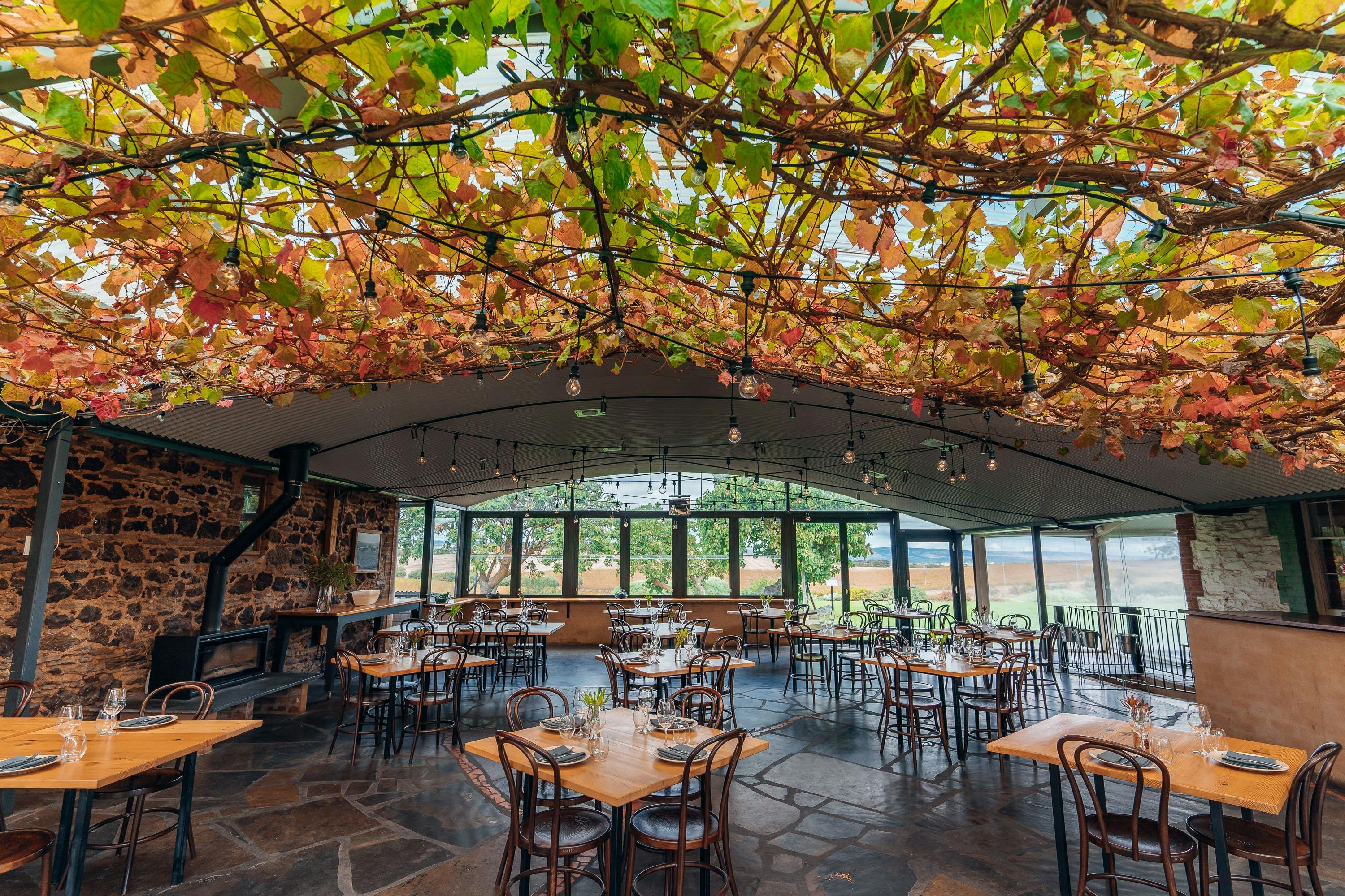 Grenache and Gourmet: Le printemps à Coriole