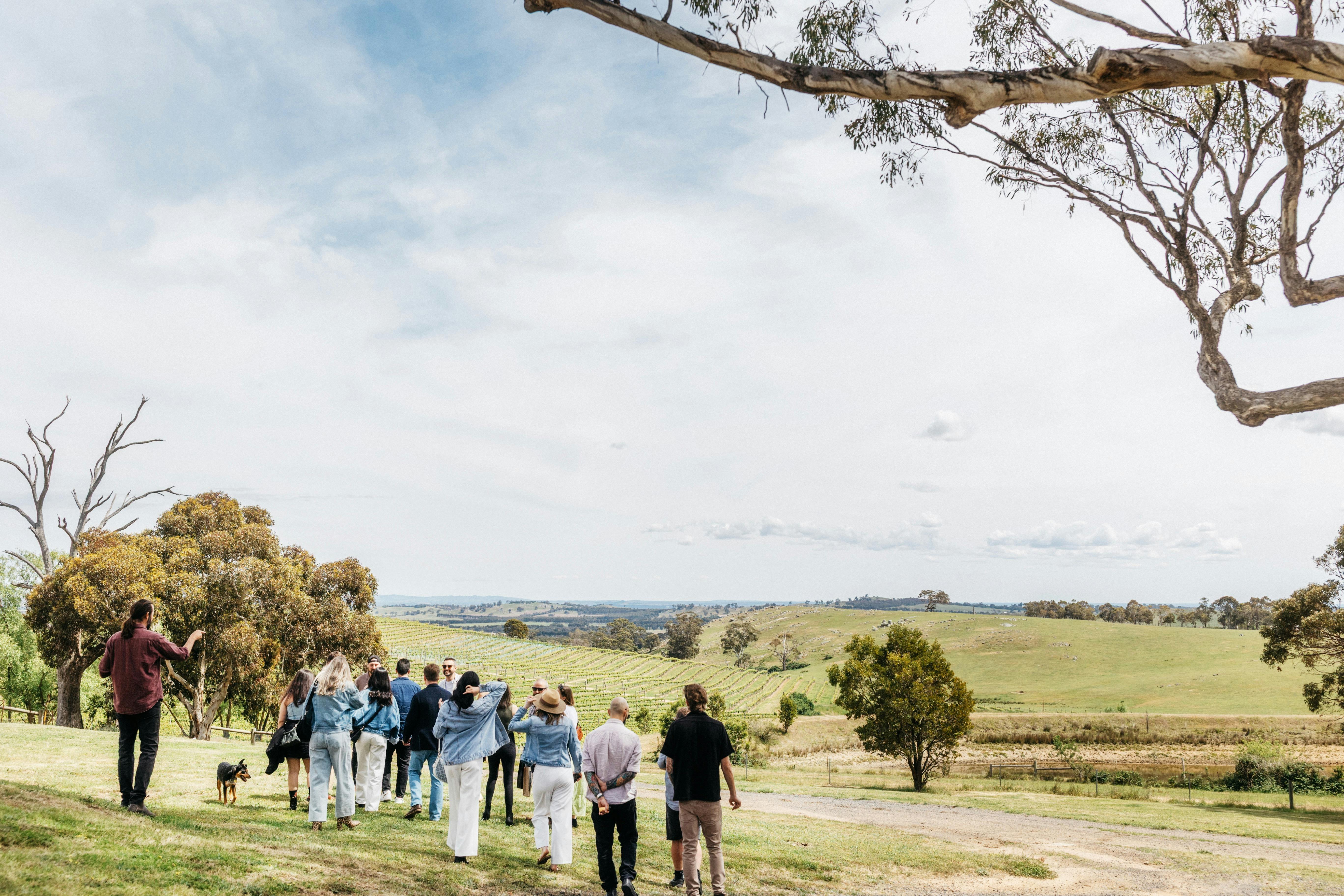 Overlooking Macedon Ranges Basalt Hills