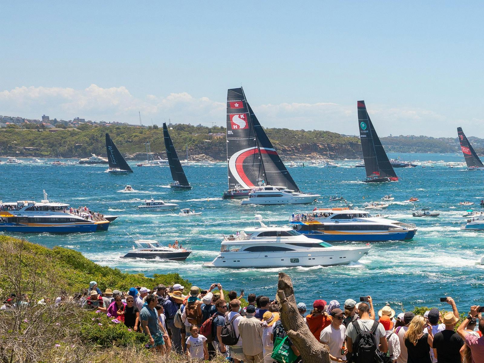 Image for Boxing Day Cruise - Sydney to Hobart Yacht Race