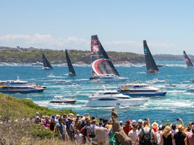 Boxing Day Cruise - Sydney to Hobart Yacht Race Cover Image