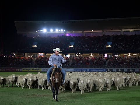 Sydney Royal Easter Show