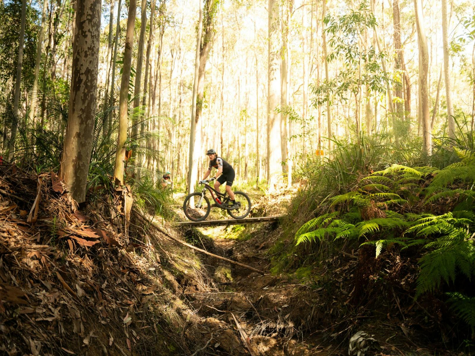 Natural Bike Tracks in Sussex Inlet
