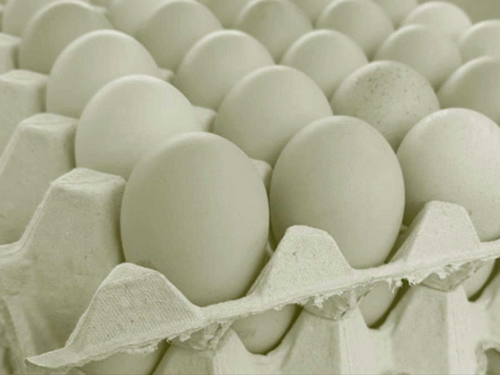 Farm fresh pasture raised eggs stacked in layers of egg cartons