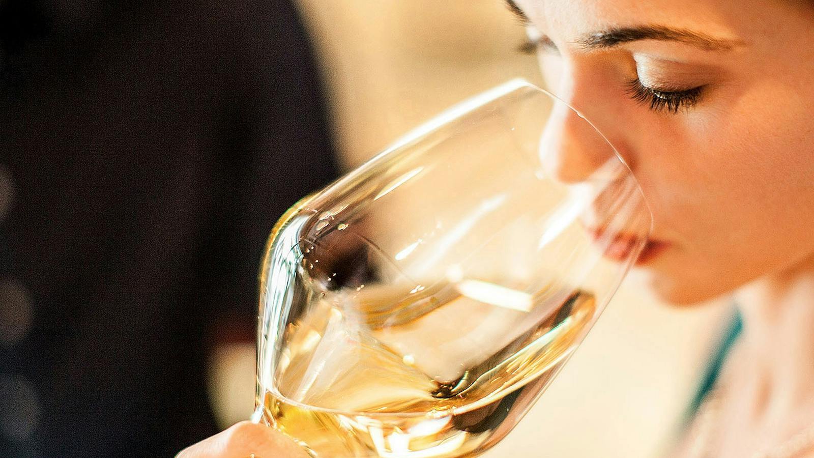 Elite Day Tours of the Mornington Peninsula