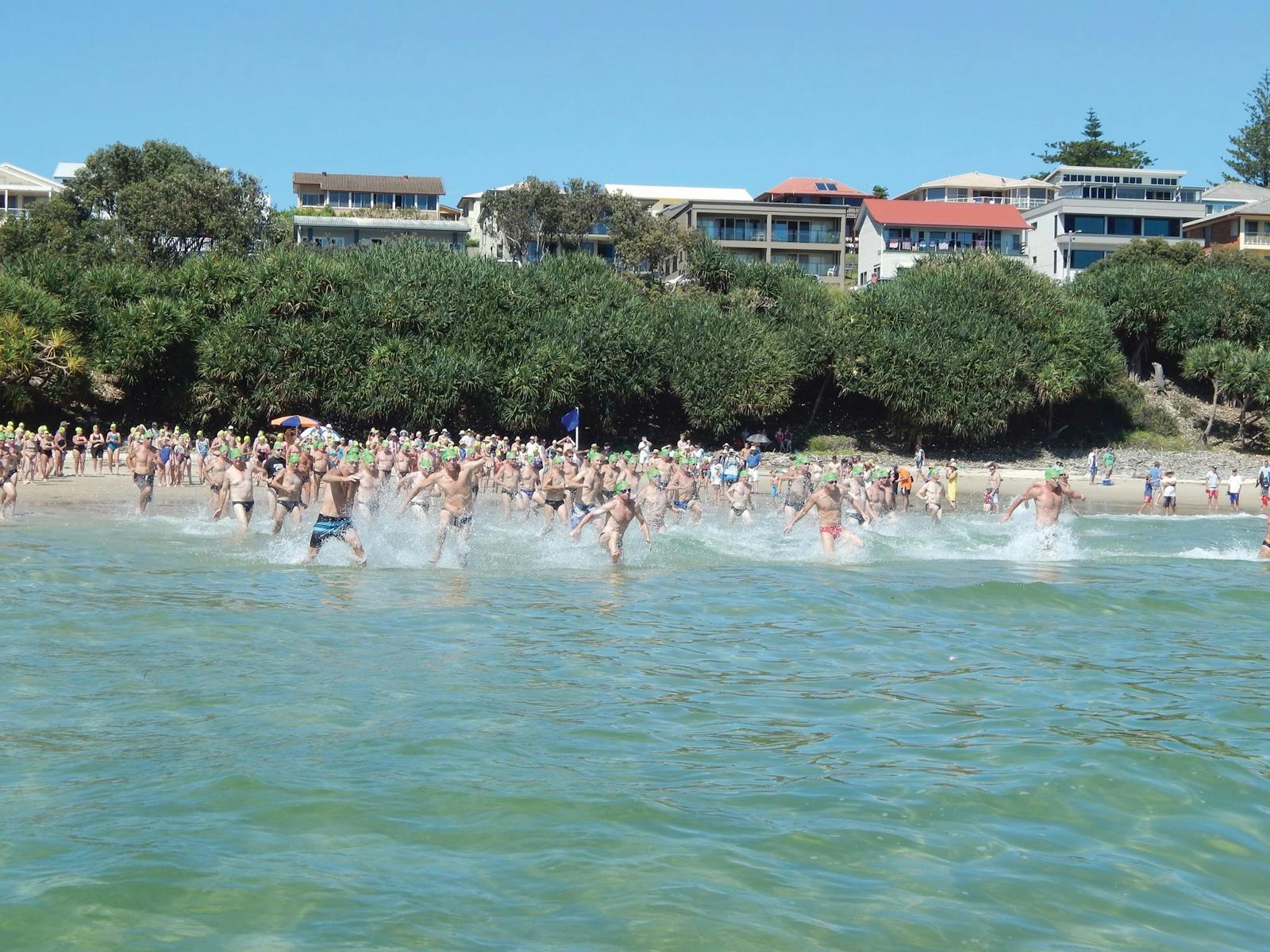 Image for Yamba Ocean Swims