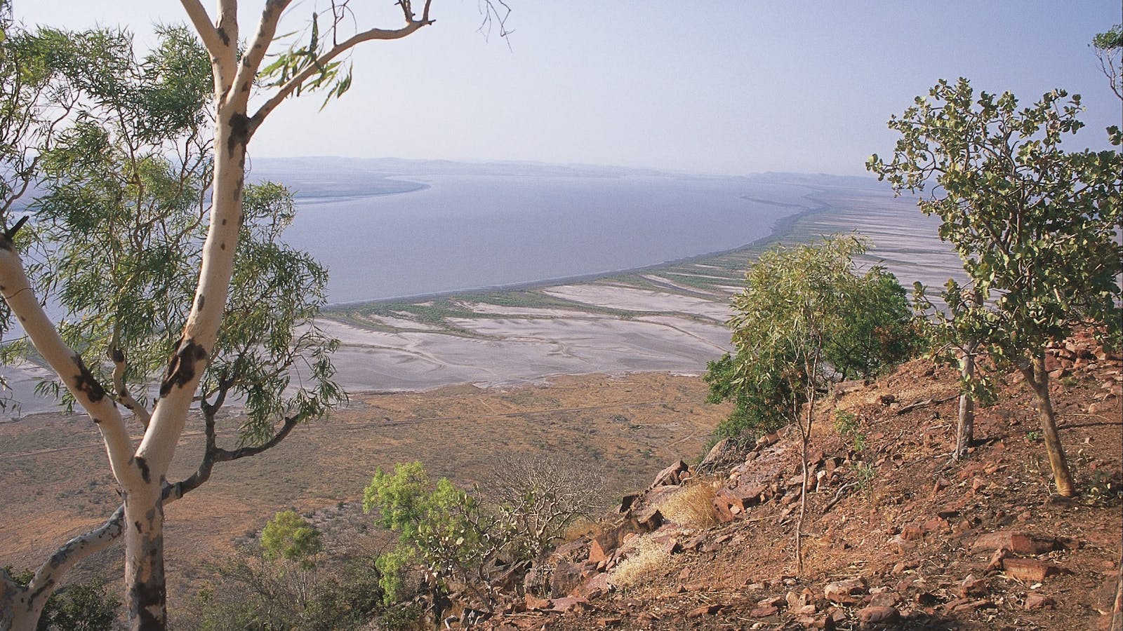 Cambridge Gulf