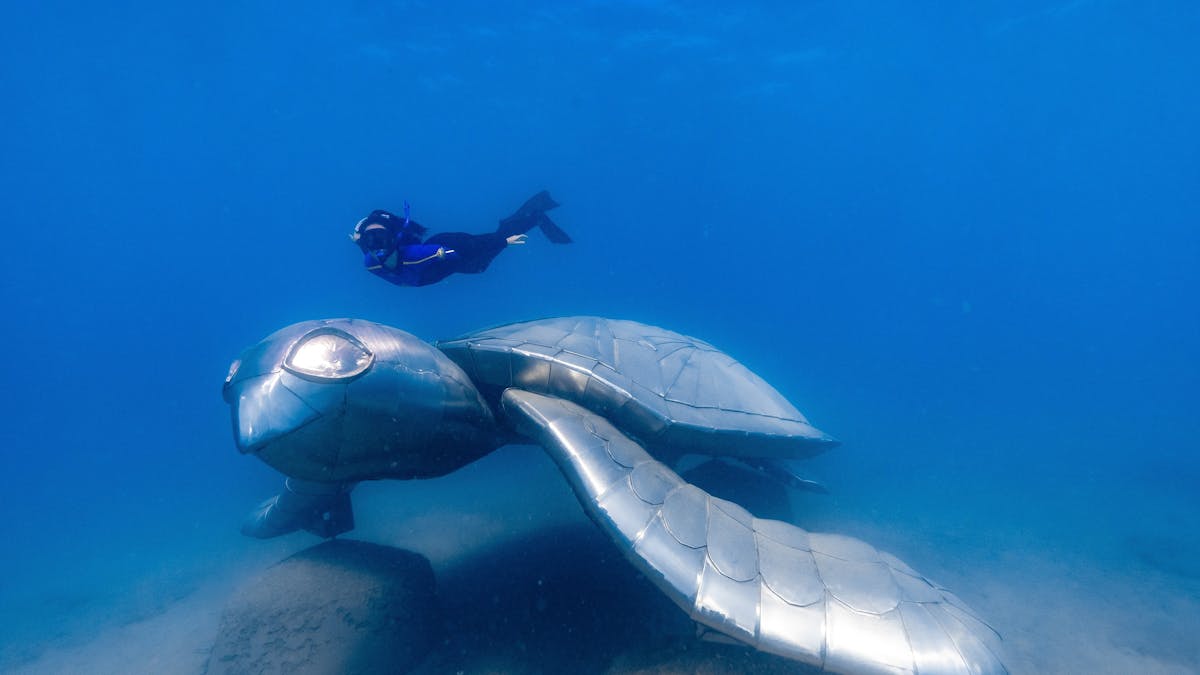 Diver swimming just above the Turtle dream underwatersculpture