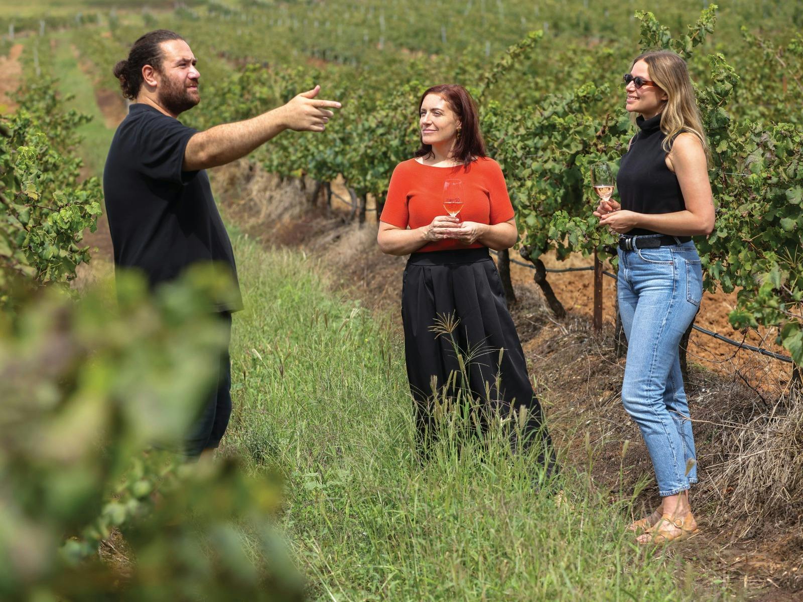 Latitude 32 Wines - Vineyard Walk