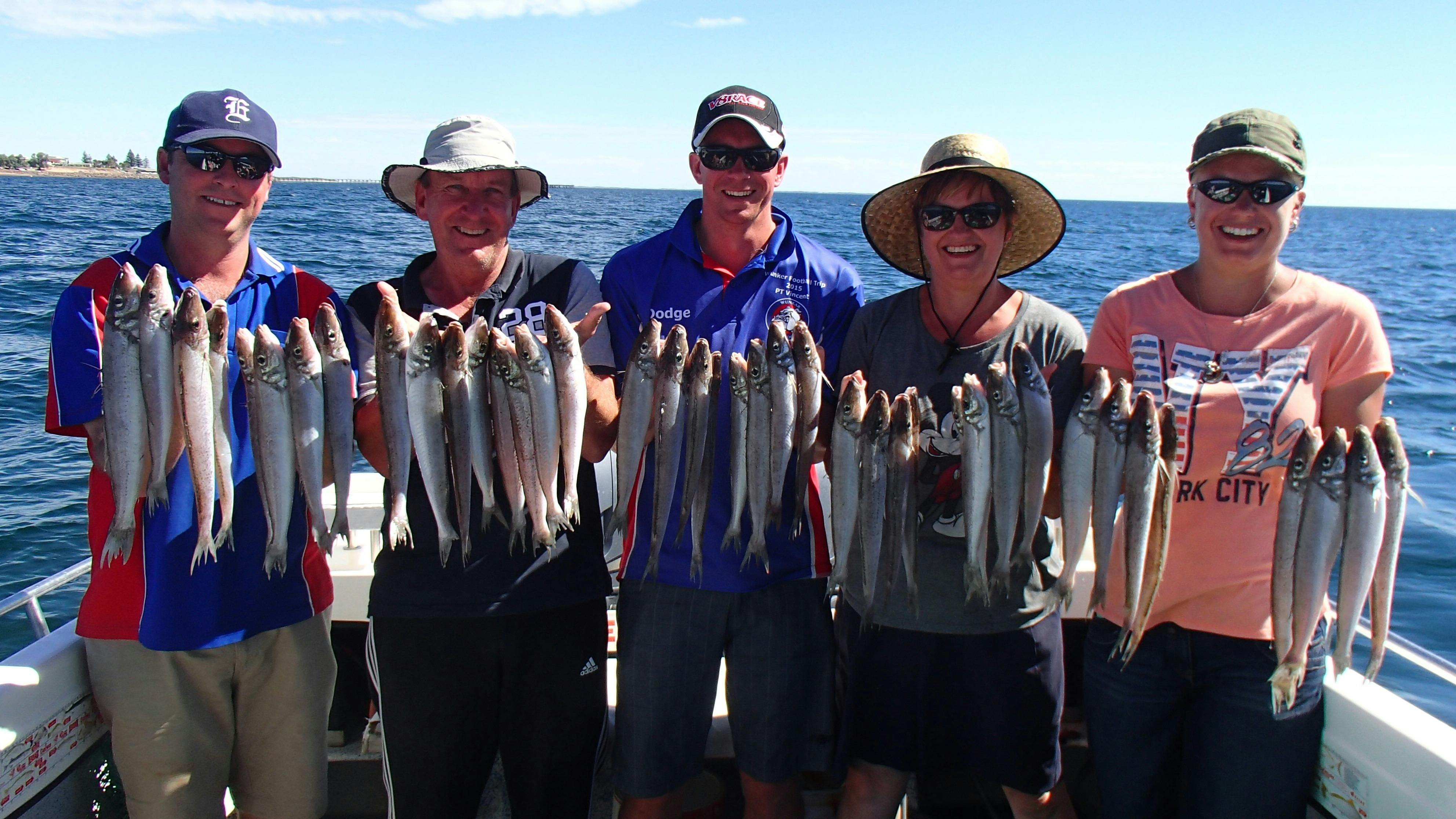 Nice haul of Spencer Gulf King George Whiting