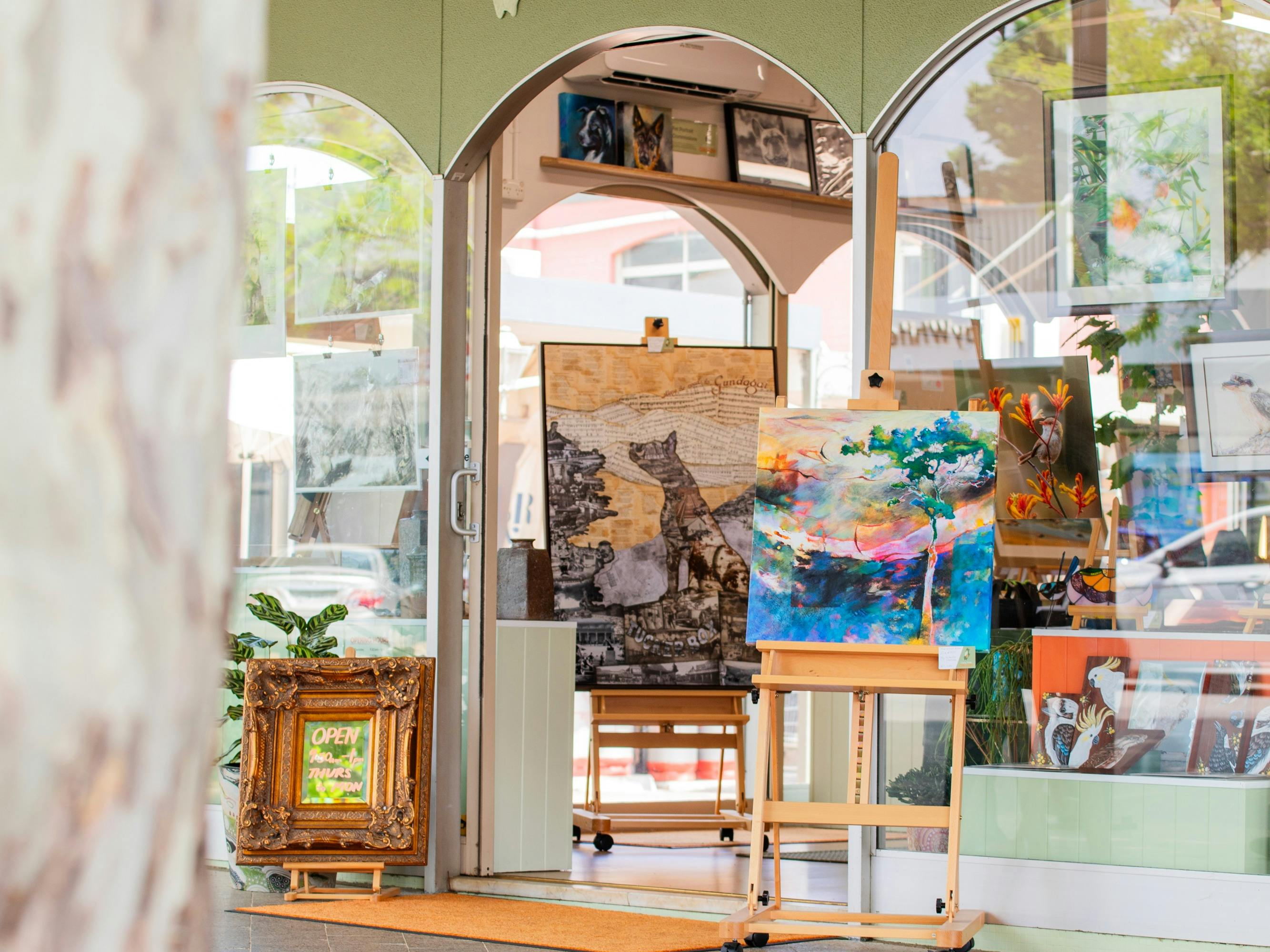 Plane Tree Gallery