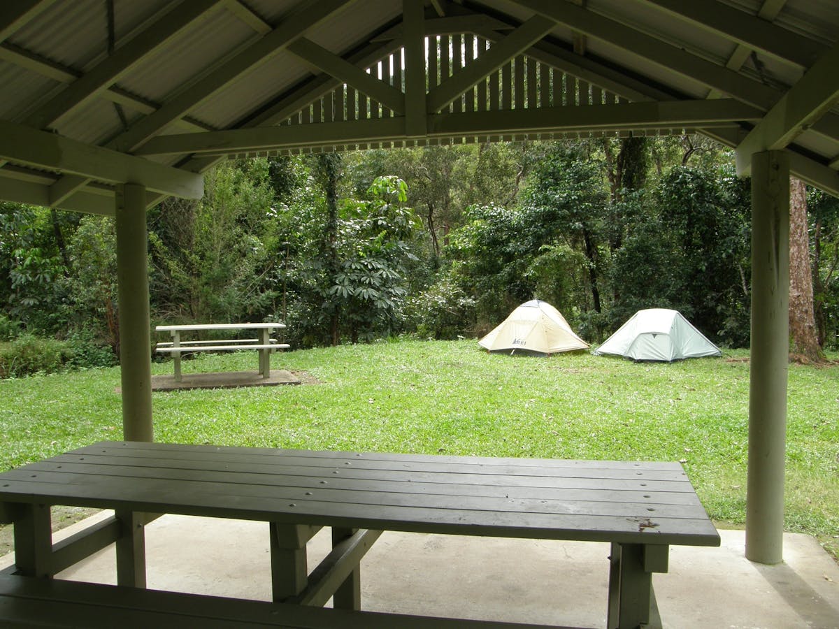 two tents are seen through a picnic shelter with rainforest backdrop.