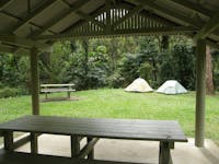 two tents are seen through a picnic shelter with rainforest backdrop.