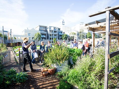 Pocket City Farms Community Volunteering