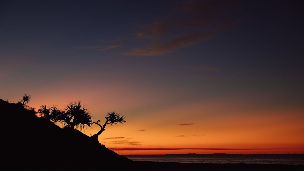 Unplug this winter and explore the Straddie Arts Trail