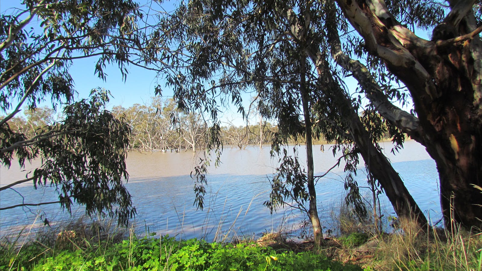 Urana Aquatic Centre
