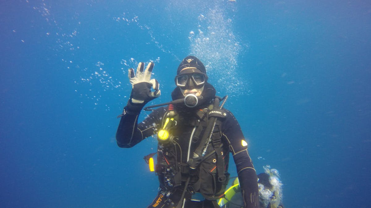 diver diver