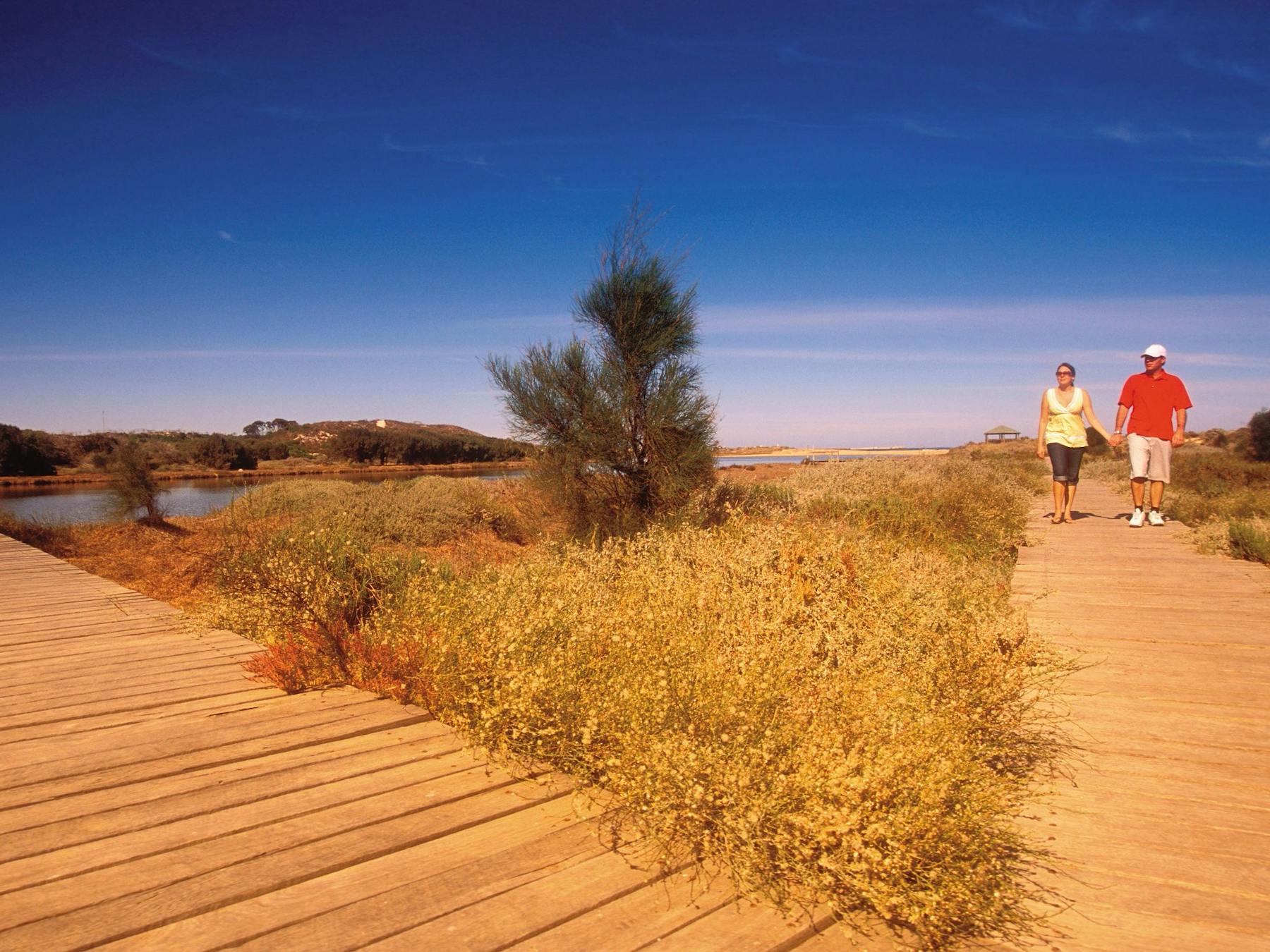 Irwin River Nature Trail, Dongara, Western Australia