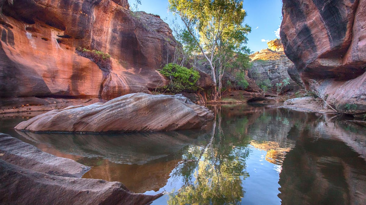 Stunning reflections on Cobbold Gorge