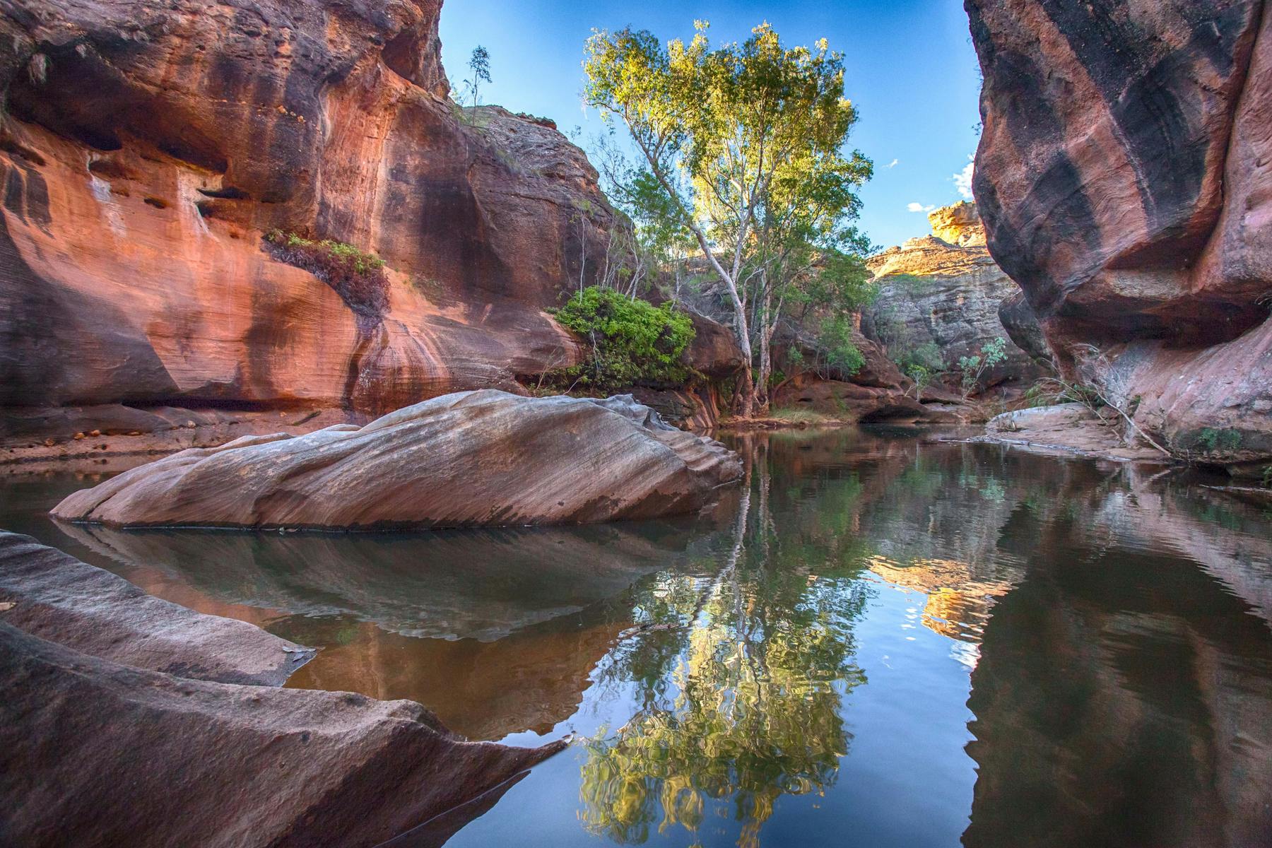 Stunning reflections on Cobbold Gorge