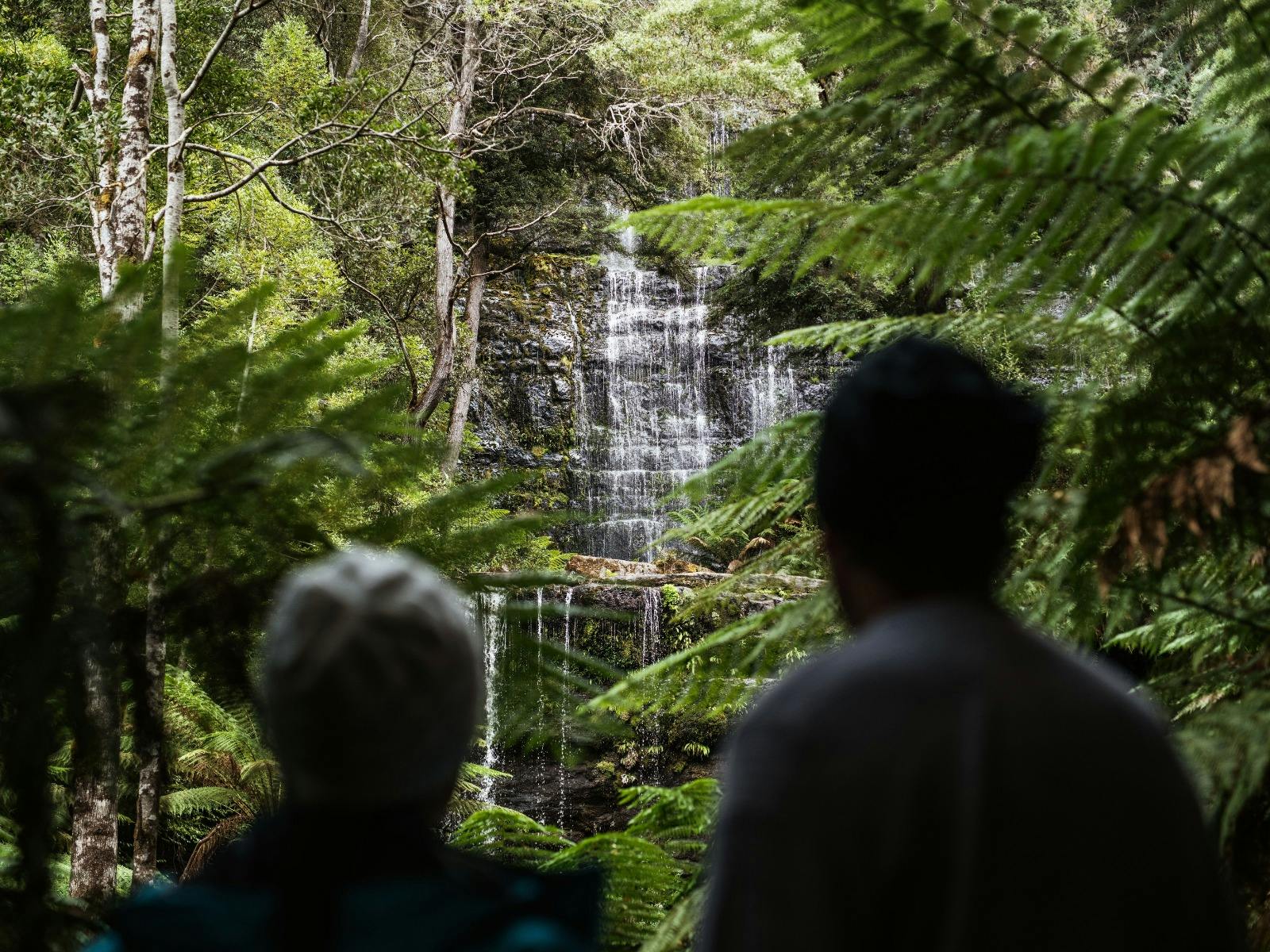 Take in the view of Russel Falls