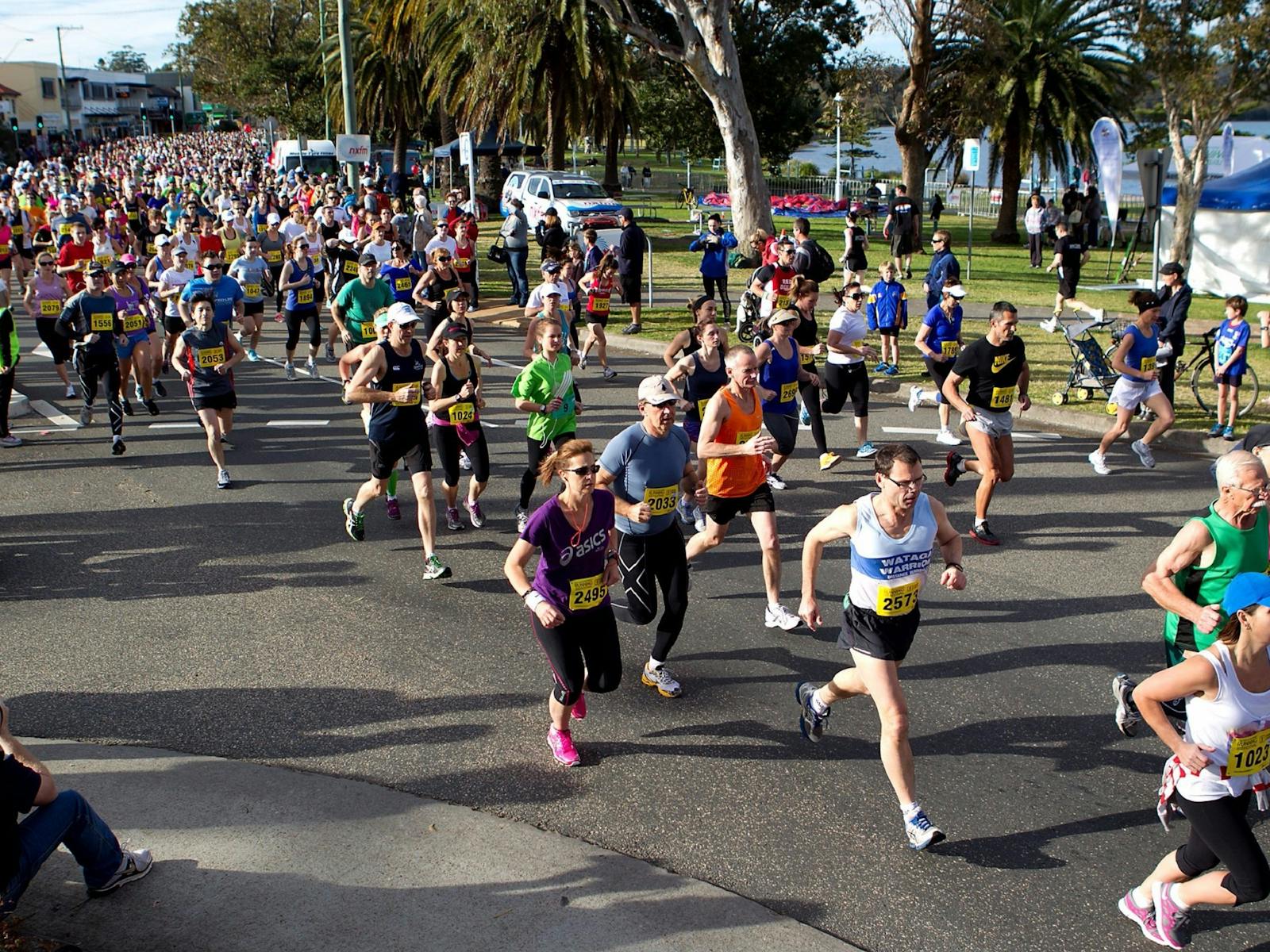 Image for Newcastle Permanent - Lake Macquarie Running Festival