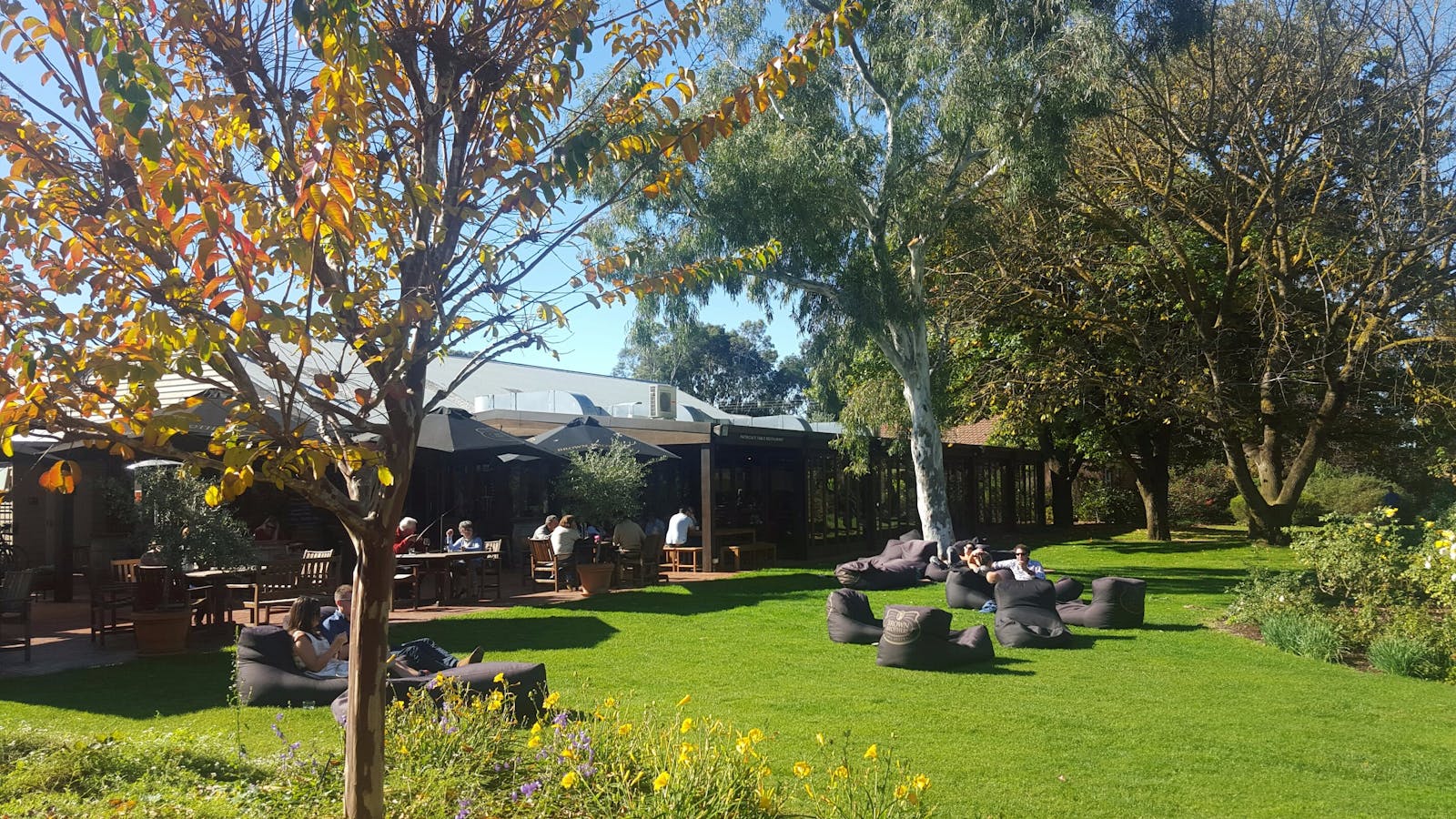 Brown Brothers Winery - Milawa