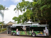 tropic wings 100% electric bus eco tourism kuranda tours