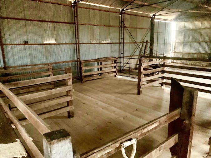 The Shed at Redwing Farm