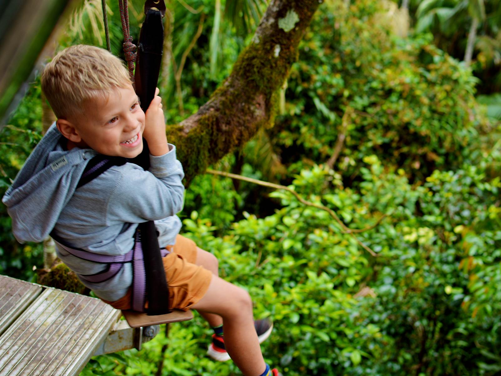 Forest Flying is the fun, zip lining experience through the rainforest