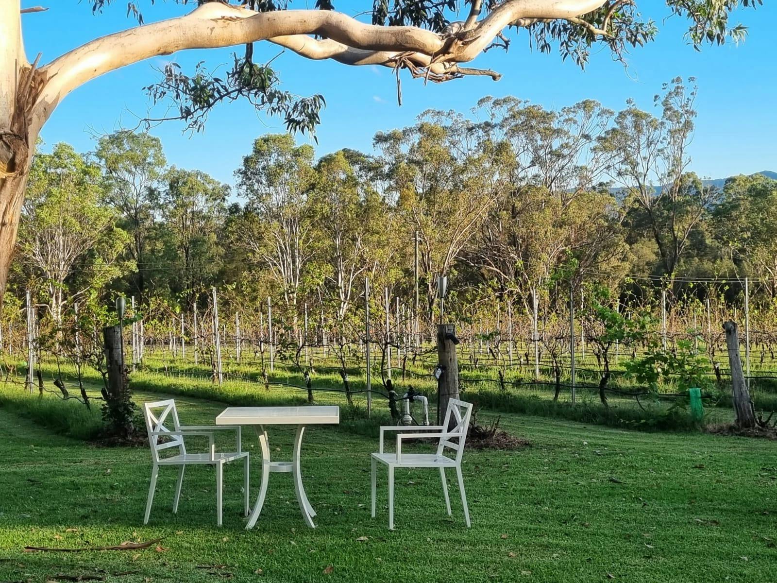 Garden chair and table