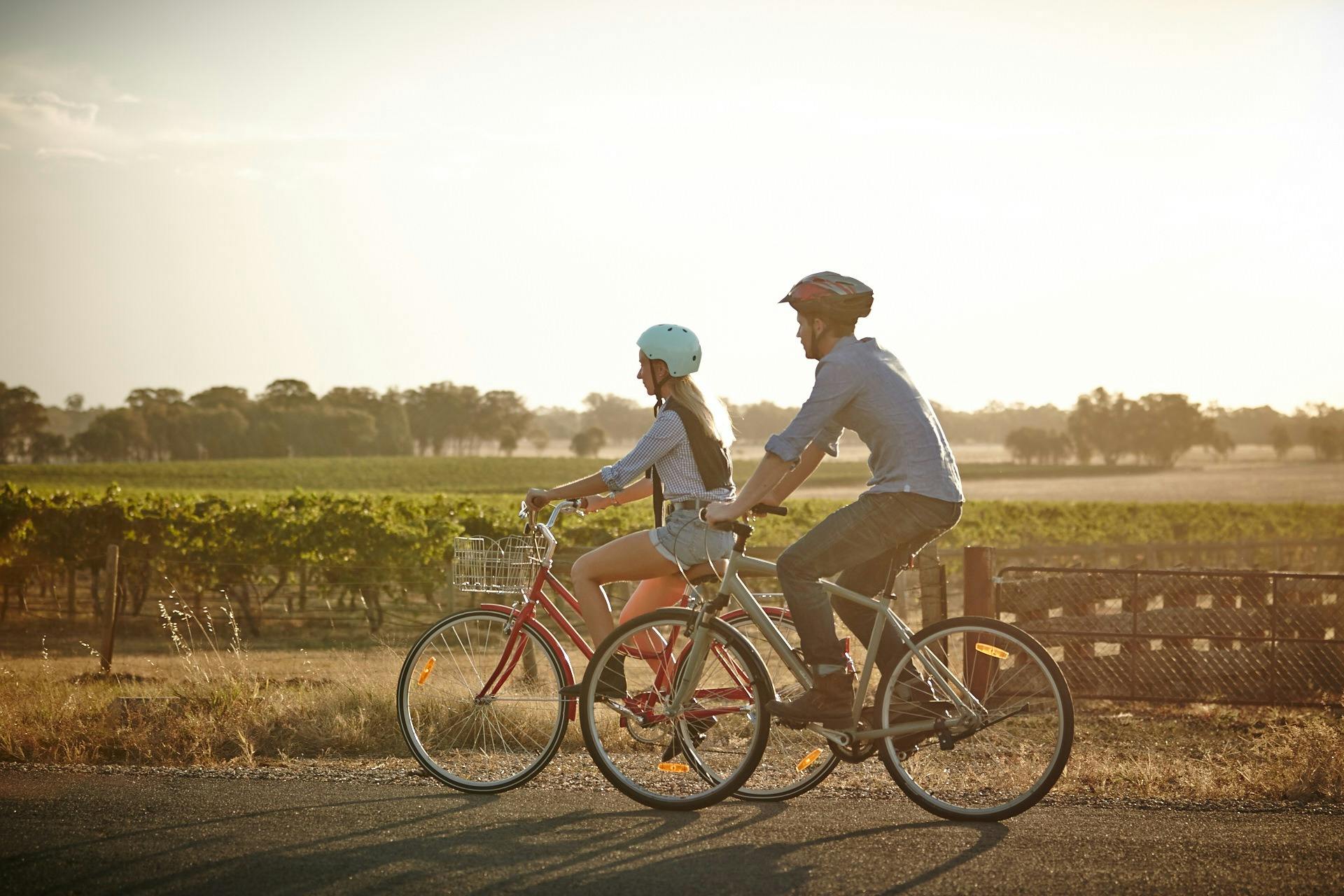 bike riders and vineyard