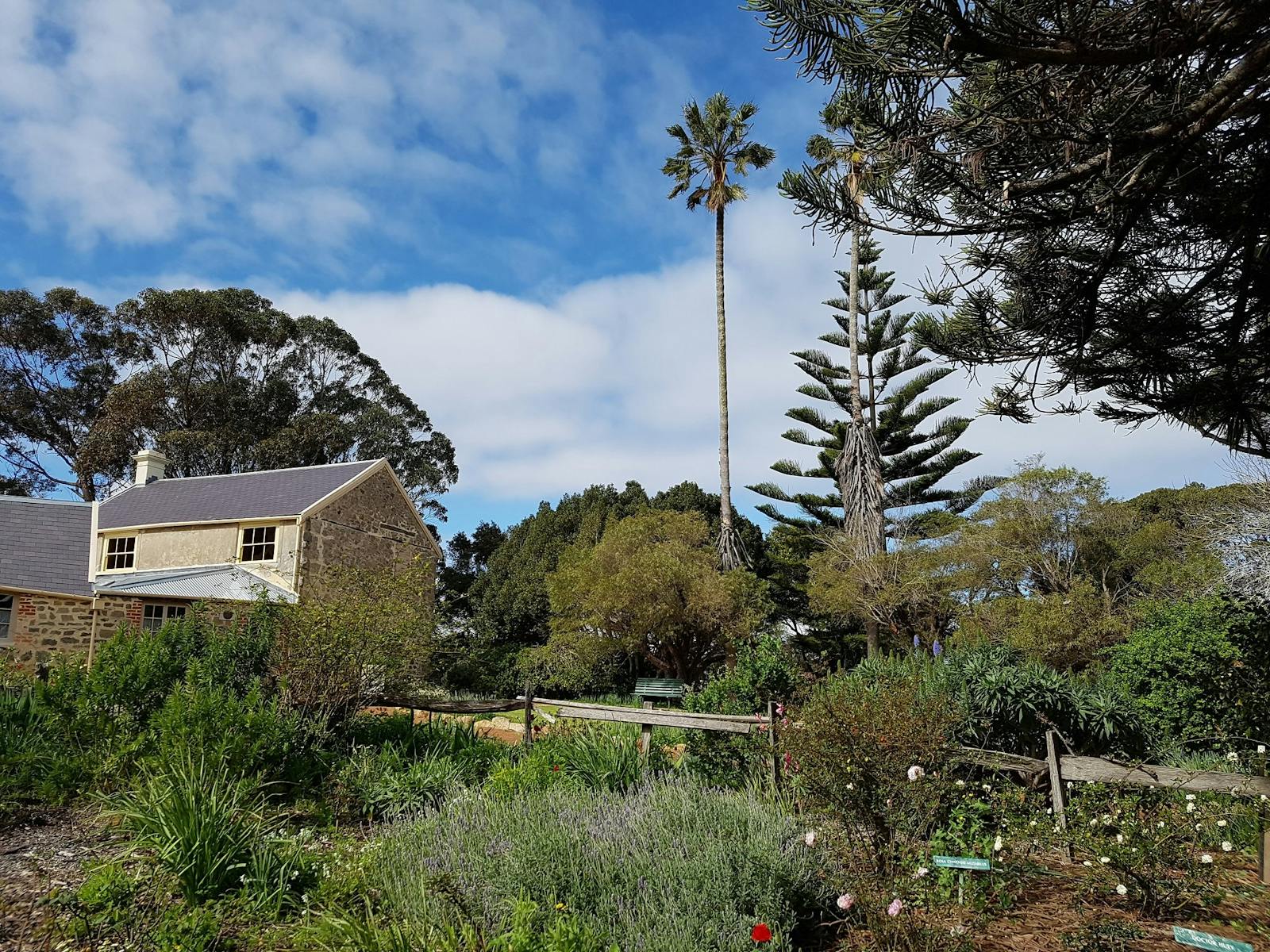 Strawberry Hill at Barmup