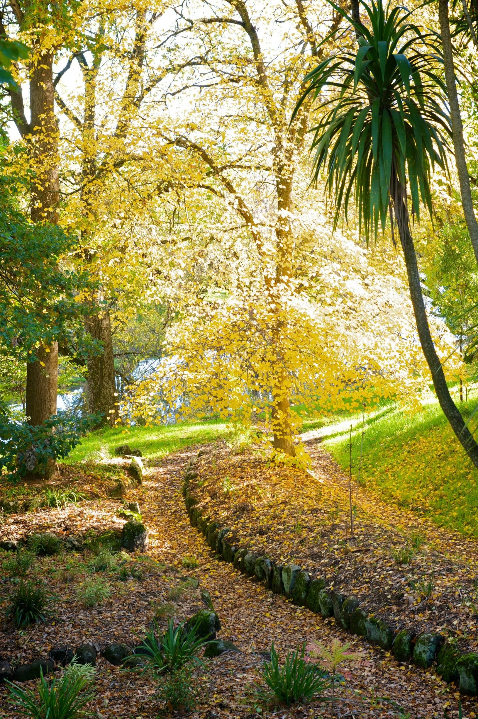 Gardens of the Macedon Ranges Day Tour