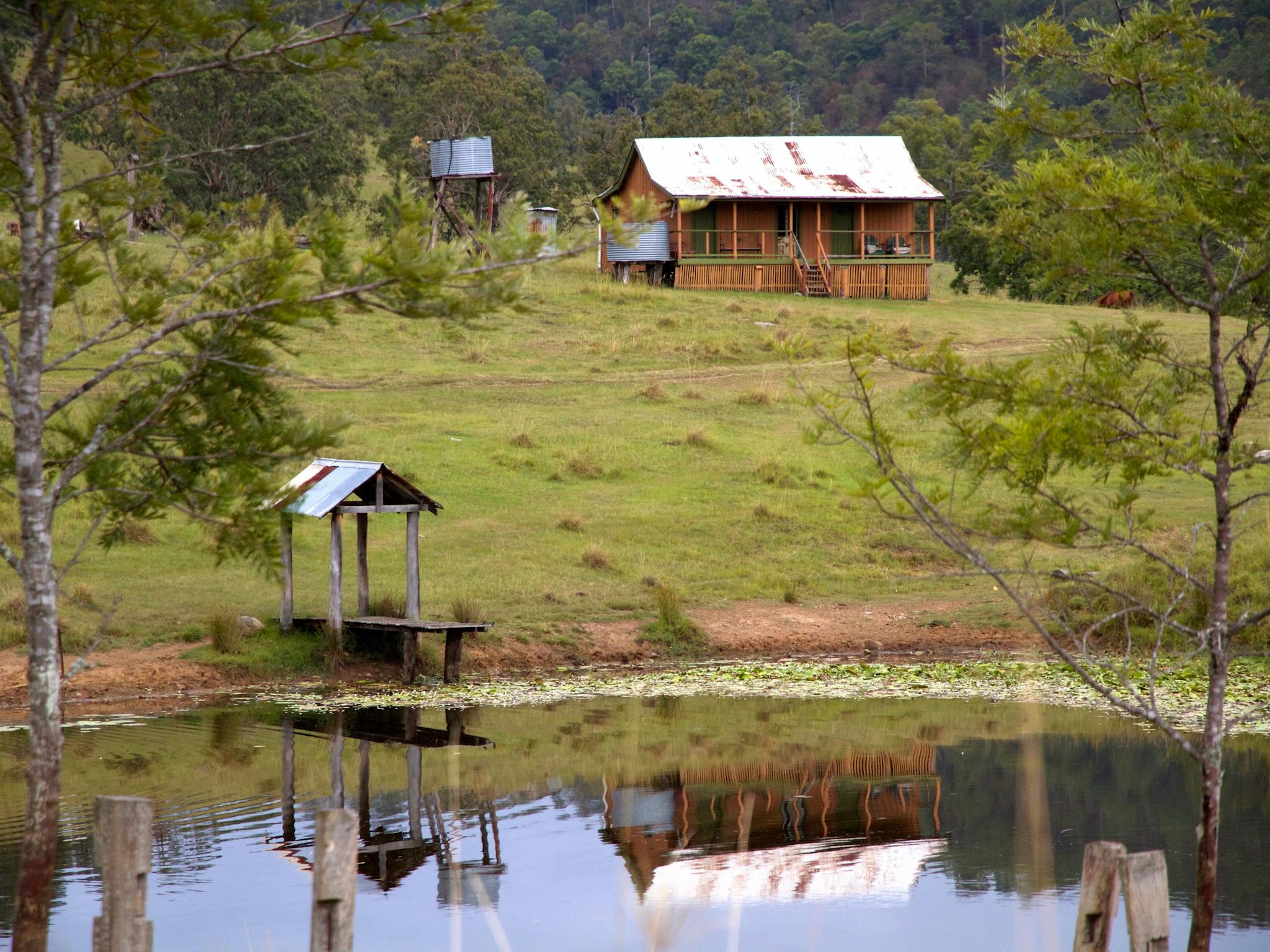 Dingo Dam Cottage - Wave Hill Station