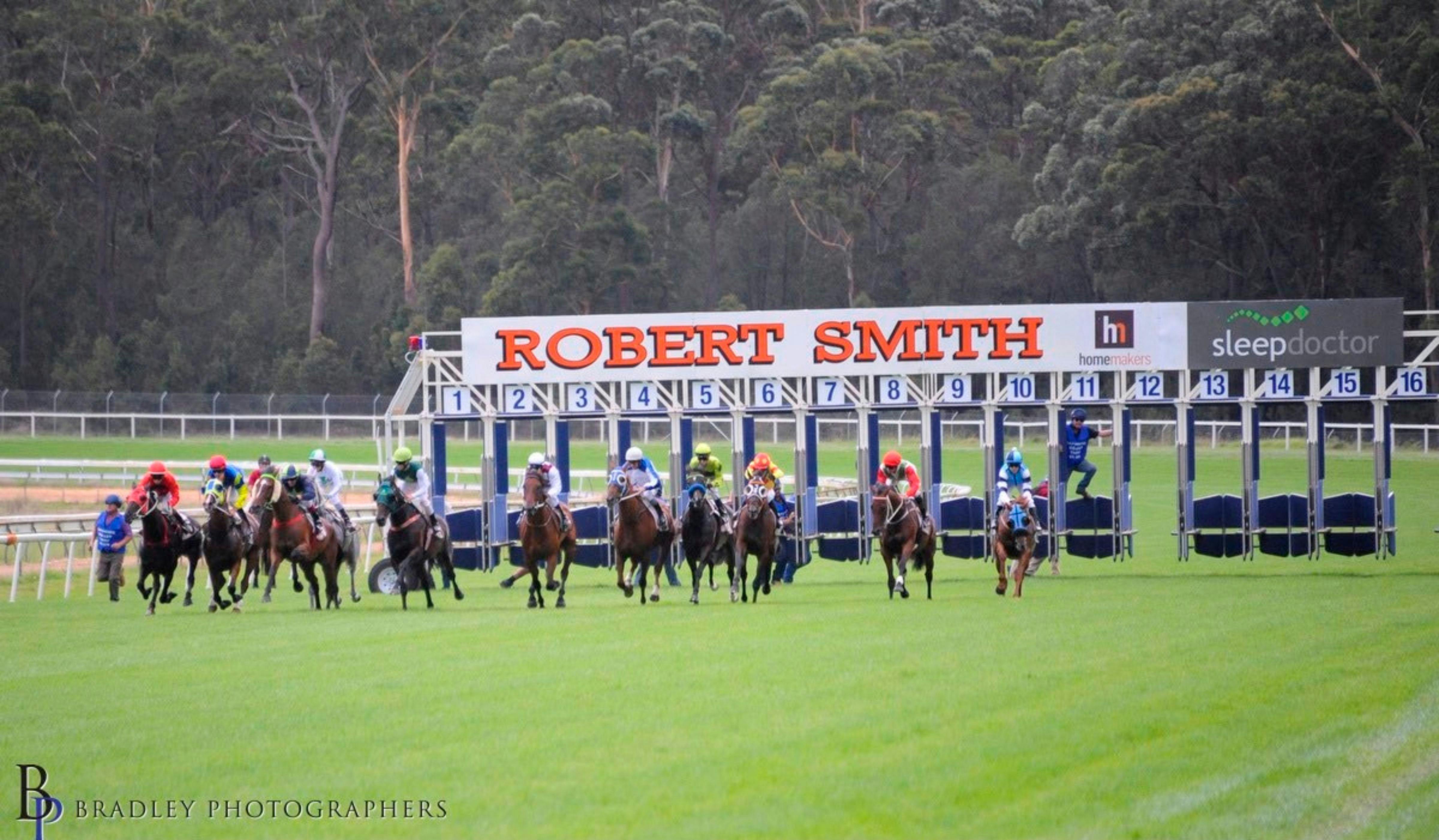 Horses starting to race