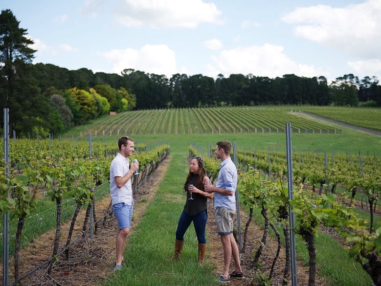 Orange Wine Festival NSW Holidays & Things to Do