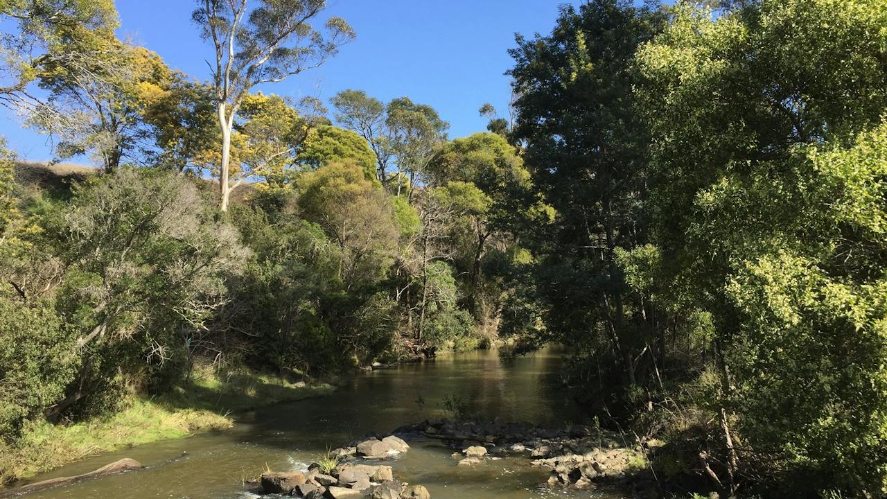 Pipers River