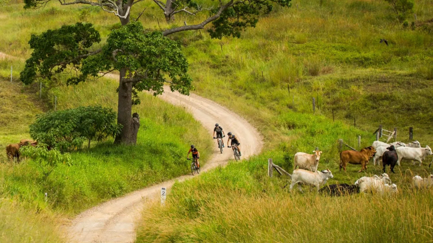 Gravel bike hire, MTB hire, Bike Tours, Bike Trail adventure