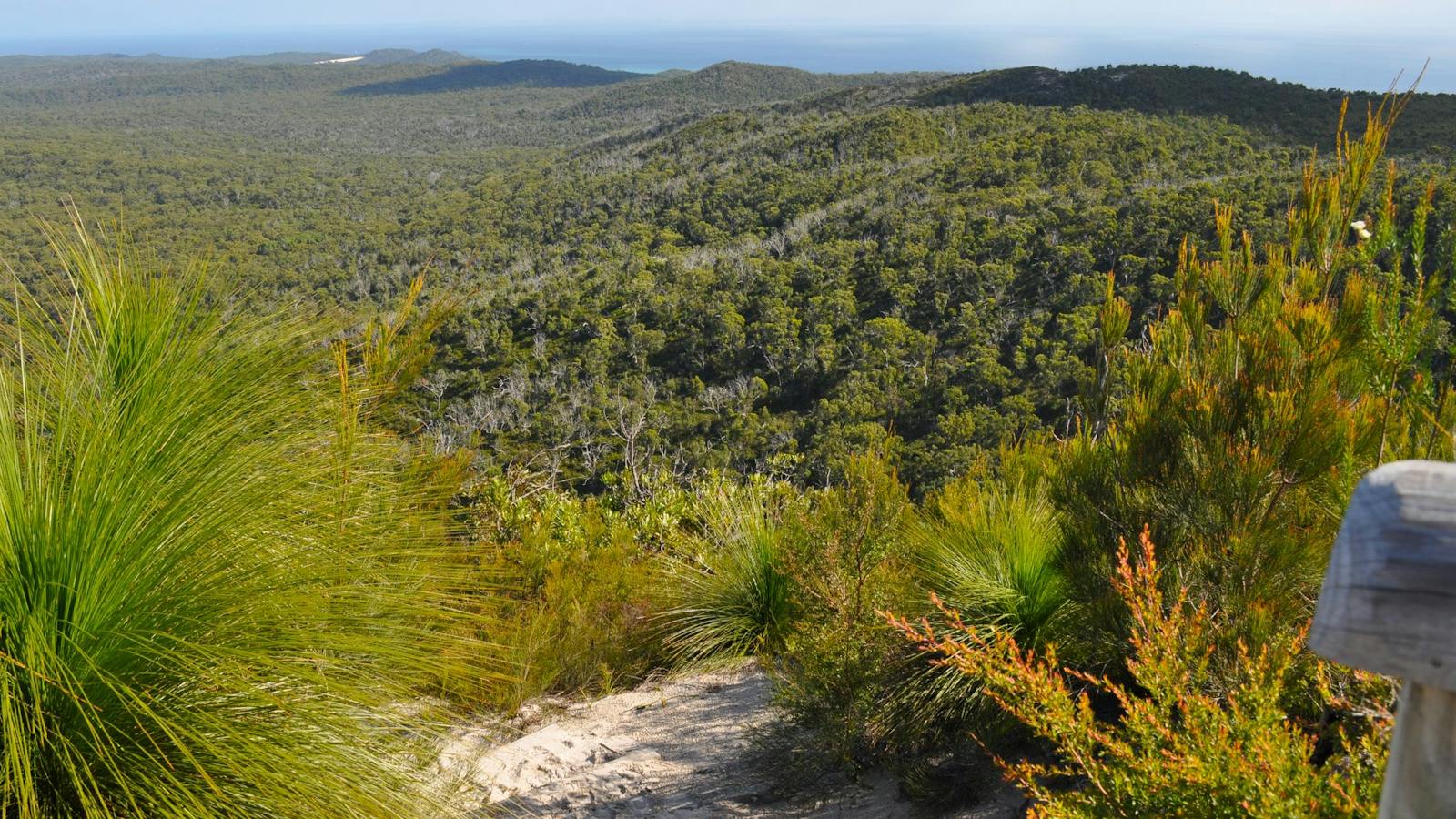 Landscape view from summit with sandy track in foreground.