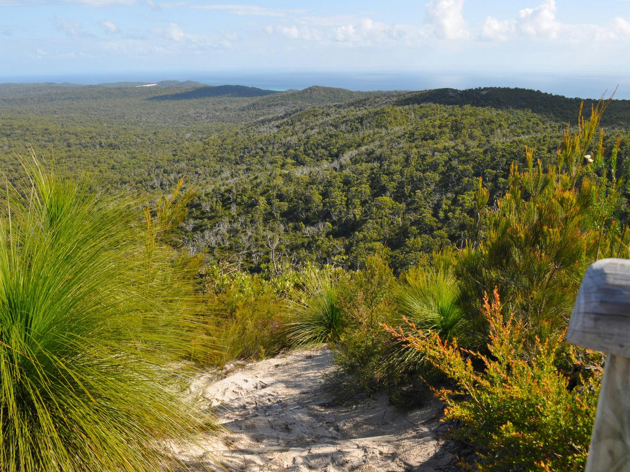 Landscape view from summit with sandy track in foreground. Landscape view from summit with sandy track in foreground.