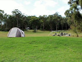 A tent at one of our group campsites in our forest area.